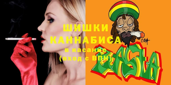 трава Новозыбков