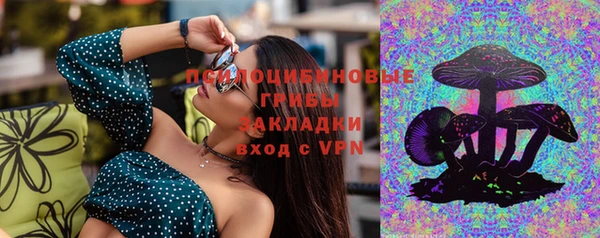 трава Новозыбков