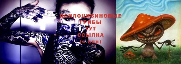 трава Новозыбков
