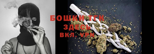 трава Новозыбков