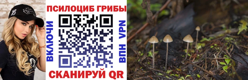 Галлюциногенные грибы мицелий  hydra ССЫЛКА  Знаменск  где продают  