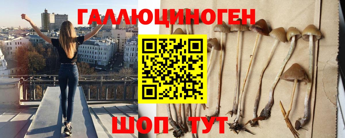БУТИРАТ Знаменск