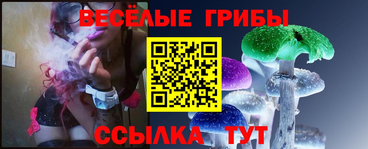 Псилоцибиновые грибы мицелий Знаменск