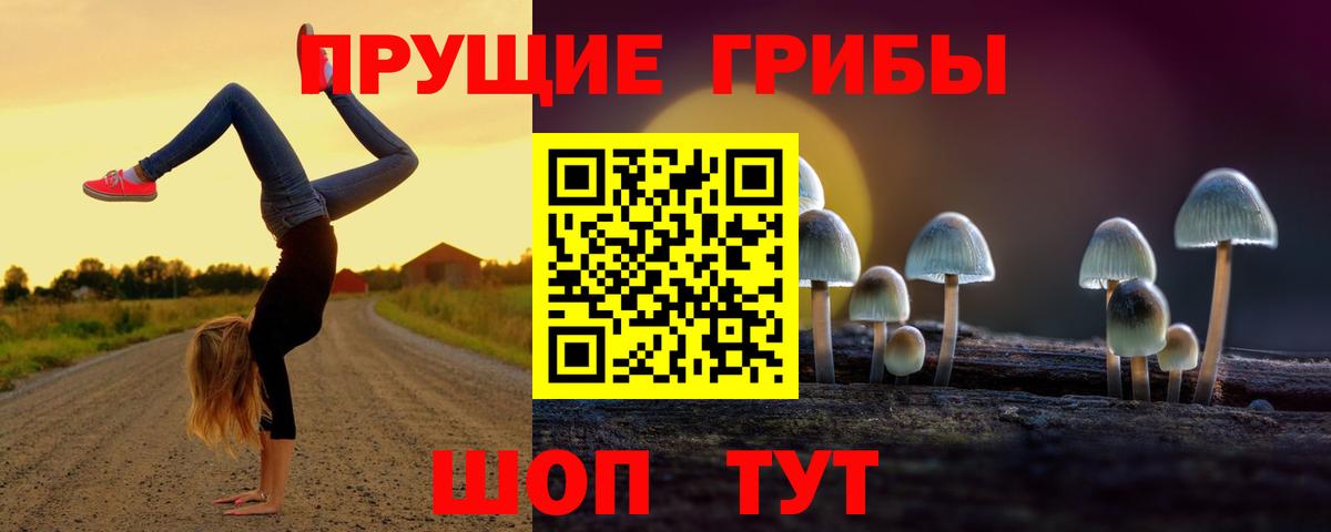 купить наркоту  Псилоцибиновые грибы MAGIC MUSHROOMS  Знаменск  Вход с VPN  Галлюциногенные грибы ЛСД 
